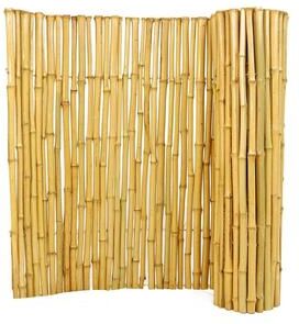 Backyard X-Scapes Natural Bamboo Fencing Decorative Fence 4 ft H x 8 ft L x 3/4 in D