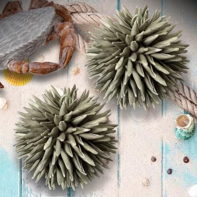Regency International "Foam Spike Orb 6"""
