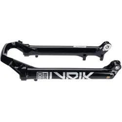 RockShox Tauchrohr 29 Zoll für Lyrik schwarz