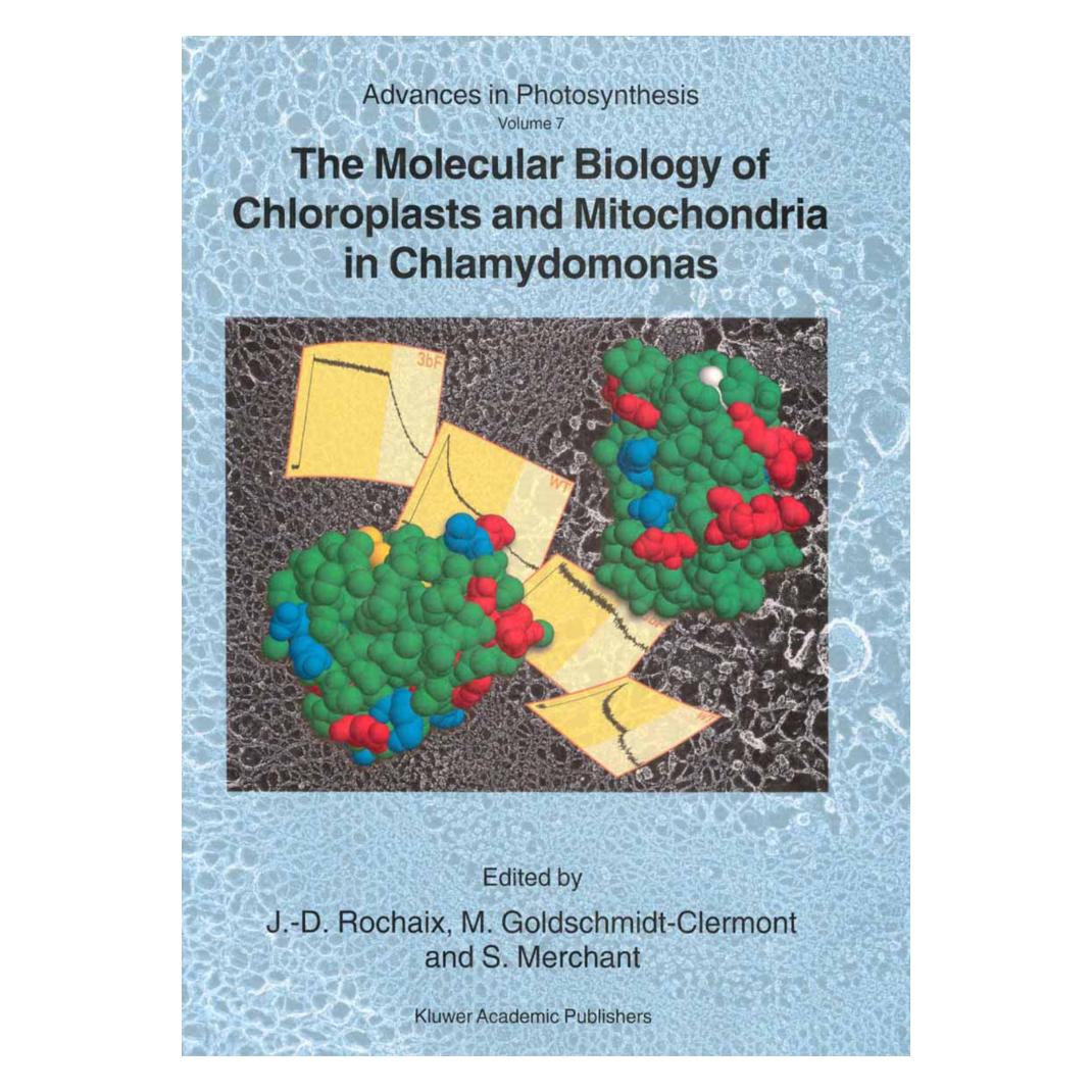 Springer The Molecular Biology of Chloroplasts and Mitochondria in Chlamydomonas (Englisch, Softcover, J.-D. Rochaix, Michel Goldschmidt-Clermont, Sabeeha Merchant) (55532812)