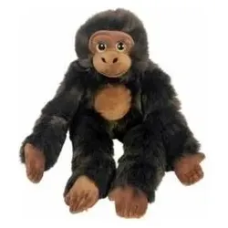 Dubi Schimpanse grosse Augen 50cm (50 cm)