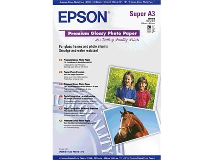 Epson Premium C13S041316 - Papier Photo Brillant - A3+