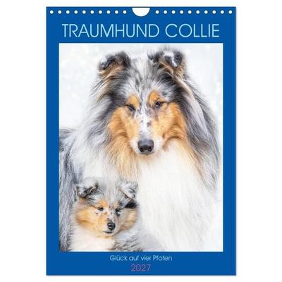 Traumhund Collie - Glück auf vier Pfoten (Wandkalender 2027 DIN A4 hoch), CALVENDO Monatskalender
