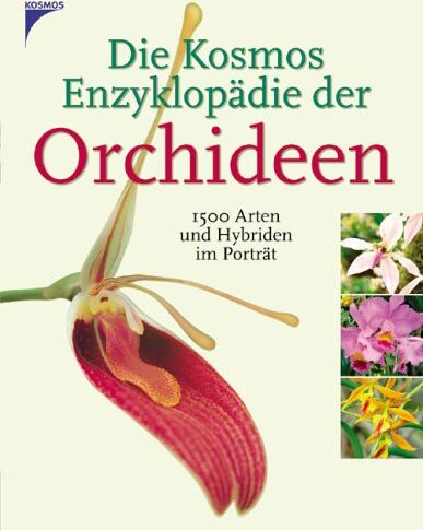 Folko Kullmann - Die Kosmos Enzyklopädie der Orchideen: 1500 Arten und Hybriden im Porträt - Preis vom 11.10.2026 15:43:13 h