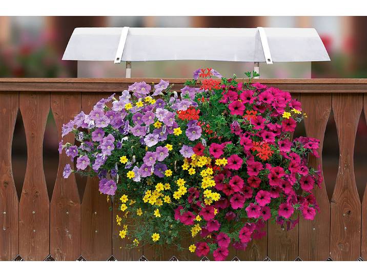 Neogard Neoflor-Balconia Schutzdach 70 cm