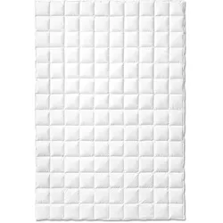 Sanders Atelier Premium Daunendecke leicht - 155x220cm