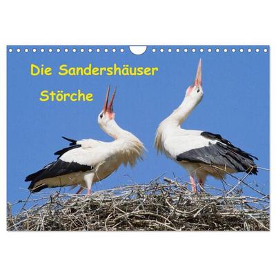 Die Sandershäuser Störche (Wandkalender 2027 DIN A4 quer), CALVENDO Monatskalender