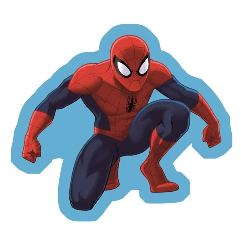 Spiderman sierkussen voor kinderen van polyester