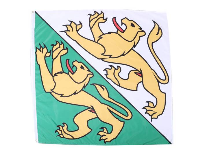 Kantonsflagge Thurgau 120 x 120 cm