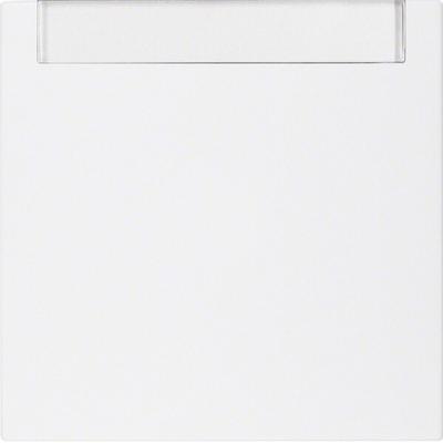 Berker Wippe pws 16261909