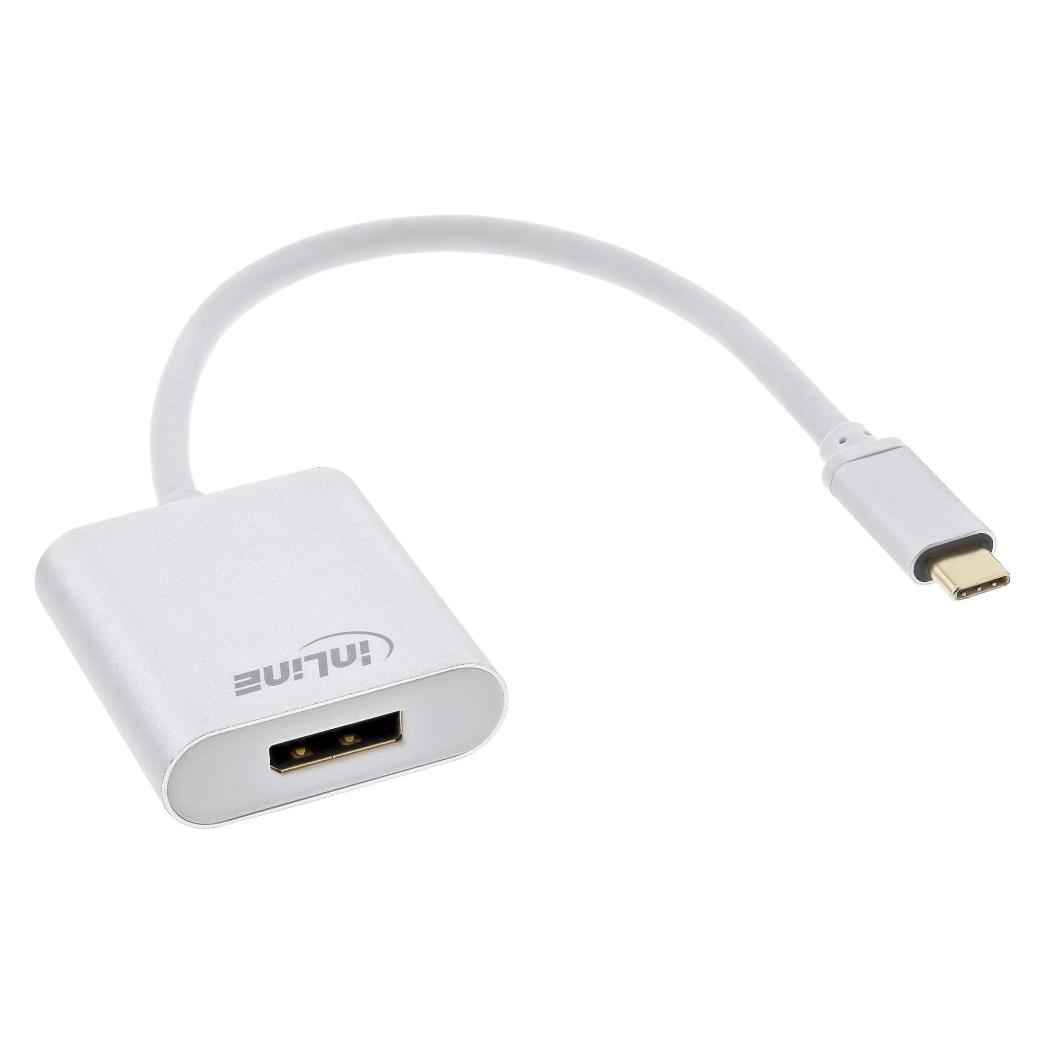 InLine USB Display Konverter (DisplayPort) (64102S)