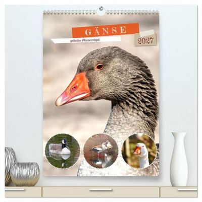Gänse, geliebte Wasservögel (hochwertiger Premium Wandkalender 2027 DIN A2 hoch), Kunstdruck in Hochglanz