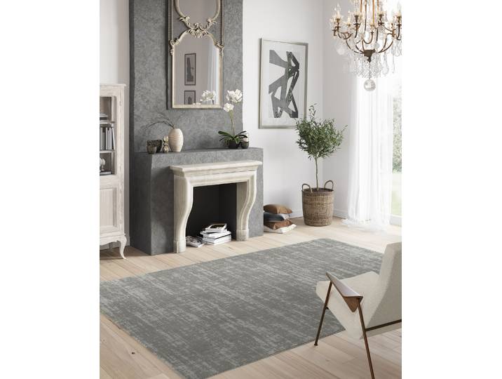 Kurzflorteppich Elys Grau/Grau 160 x 230cm Polypropylen