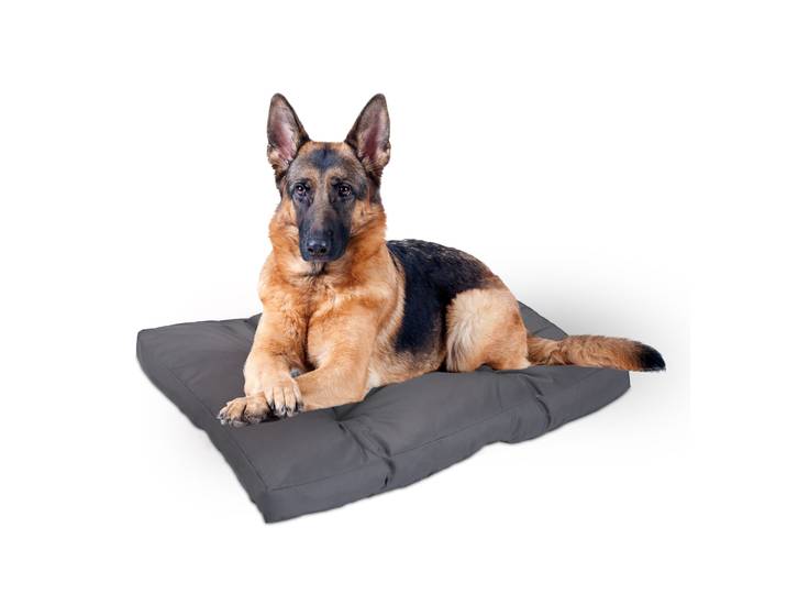 Hundebett grau Grau