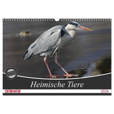 Heimische Tiere (Wandkalender 2026 DIN A3 quer), CALVENDO Monatskalender
