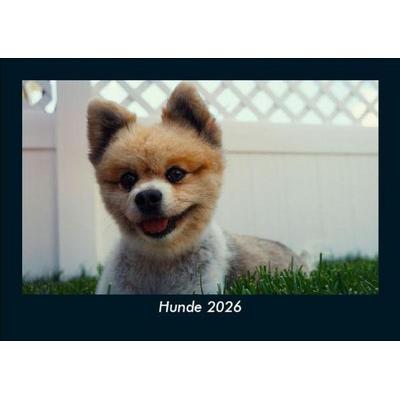 Hunde 2026 Fotokalender DIN A5