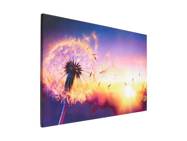 Wandbild 65x97 Dandelion