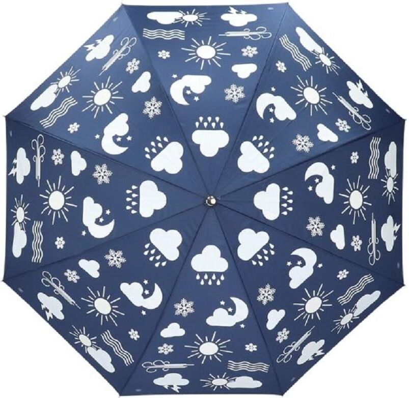 Stockregenschirm ESSCHERT DESIGN "Wetter Blau", Herren, bunt (dunkelblau, mehrfarbig), Obermaterial: 100% Nylon, Regenschirme Stockregenschirm dunkelblau, mehrfarbig Einheitsgröße