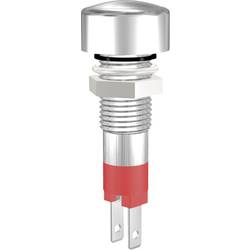 Signal Construct SMLD 08014 LED-Signalleuchte Rot 24 V/DC 120 mcd