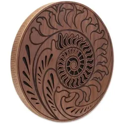 Meinl Sonic Energy Rain Disk 15 Zoll Ozean-Klang mit Stimmgabel, Perkussion, Braun