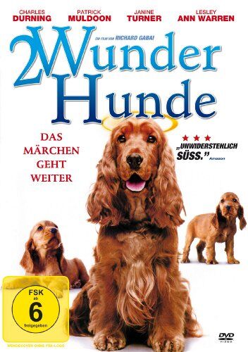 Richard Gabai - 2 Wunder Hunde - Das Märchen geht weiter! - Preis vom 11.10.2026 03:10:56 h