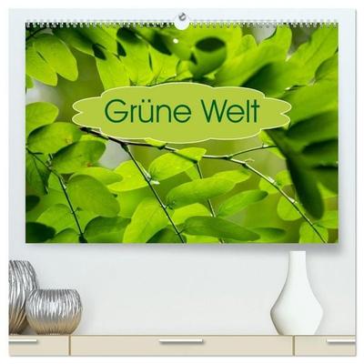 Grüne Welten (hochwertiger Premium Wandkalender 2027 DIN A2 quer), Kunstdruck in Hochglanz