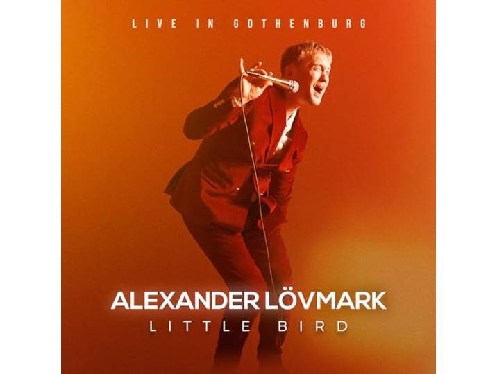 Little Bird