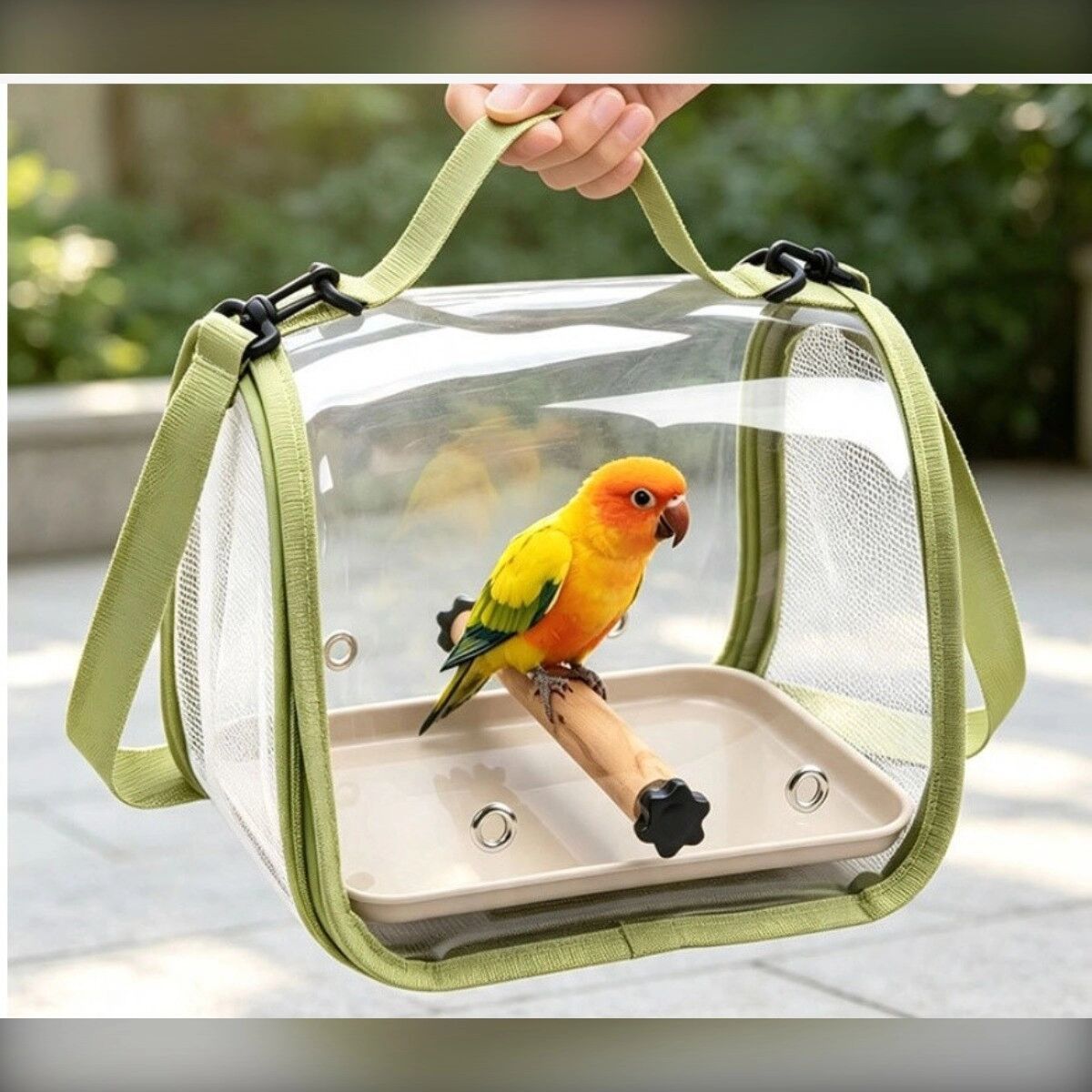 INF Tragbare Papageien-Tragetasche Reisebeutel – Gurtband + PVC Kleiner Vogelrucksack für Wellensittich und Pfirsichköpfchen Grün