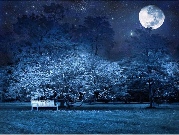 Fototapete PAPERMOON VOLLMOND-PARK MOND STERNE NACHT WALD BÄUME MYSTISCH , bunt, B:5m L:2,8m, Vlies, Tapeten, Fototapete