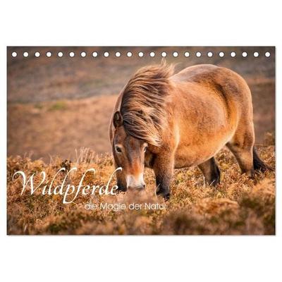Wildperde - die Magie der Natur (Tischkalender 2027 DIN A5 quer), CALVENDO Monatskalender