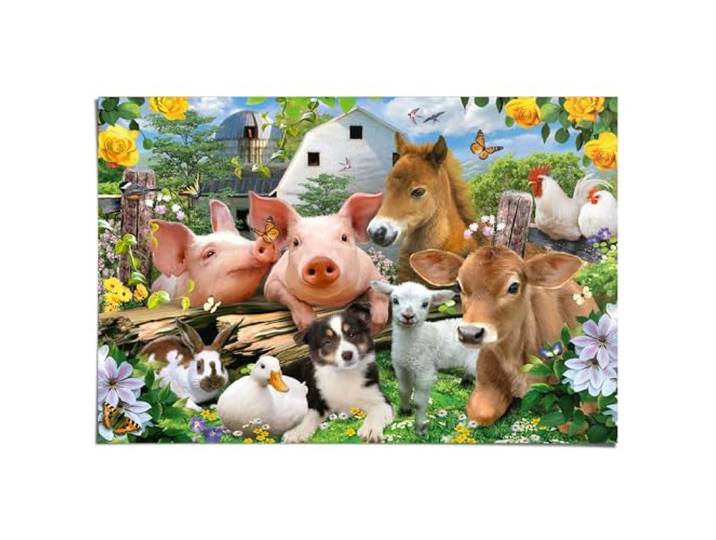Poster Boerderijdieren 61 x 91,5