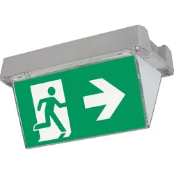 Ceag Notlichtsysteme Sicherheitsleuchte AtlanticLEDIIDCG-S