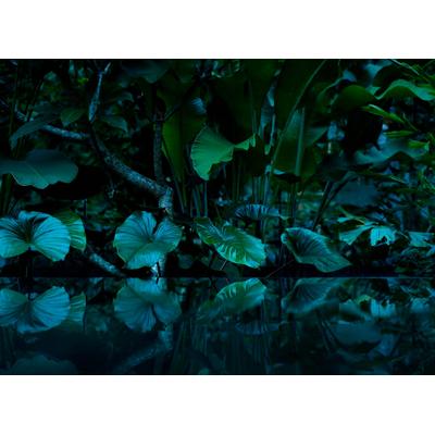 Fototapete LIVING WALLS "Tropical Leafs Vlies", bunt, B:3,5m L:2,55m, Vlies, Tapeten, Vlies, Wand, Schräge