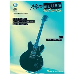 More Blues You Can Use, Fachbücher von John Ganapes