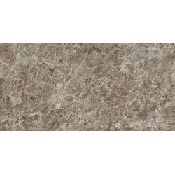 Porcelaingres Estro Feinsteinzeug-Fliese brown 60x120 cm matt X126474X8