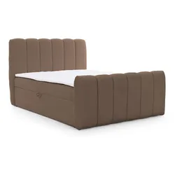 BOXBETT Denis