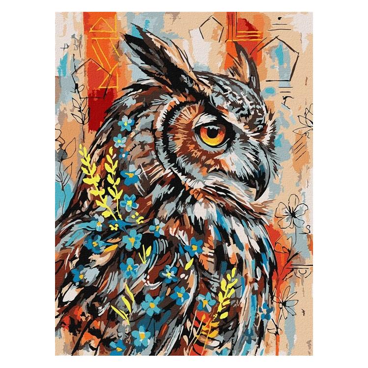 Ideyka Malen nach Zahlen Ausdrucksstarke Eule 30 x 40 cm (KHO6958)