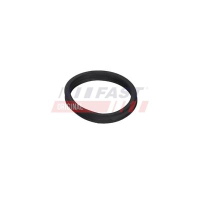 FAST Dichtring FT13157 für SEAT