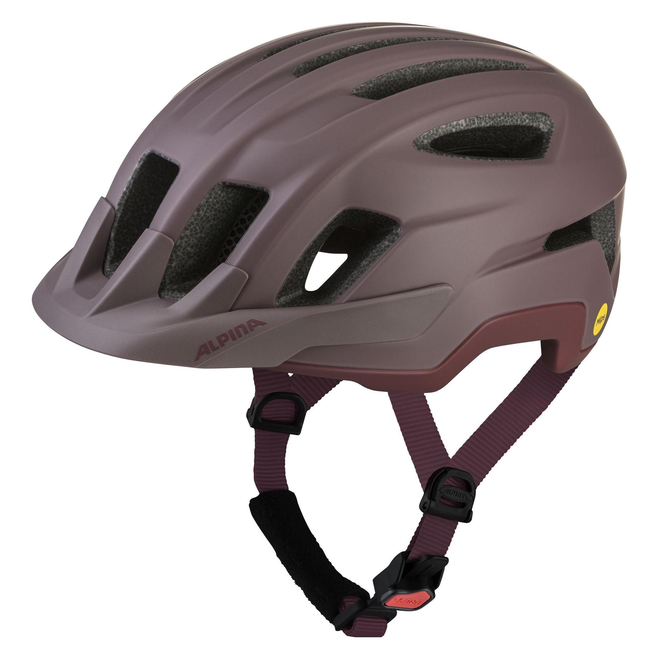 Alpina Paranus Mips (55 - 59 cm) (A9803348)
