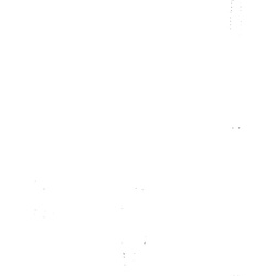 Hansa Netzteil 230 / 12 V 59914377 59914377
