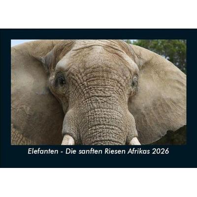 Elefanten - Die sanften Riesen Afrikas 2026 Fotokalender DIN A5