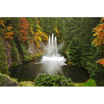 Papermoon "Wasserfall im Wald"