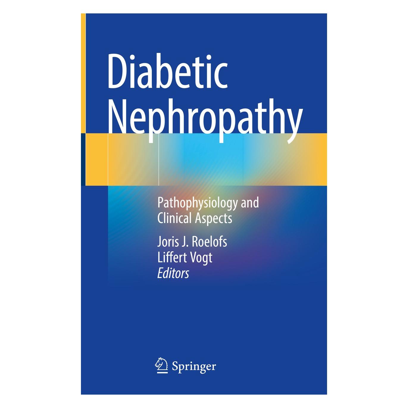 Springer Diabetic Nephropathy (Englisch, Hardcover, Joris J. Roelofs, Liffert Vogt) (9783319935201)