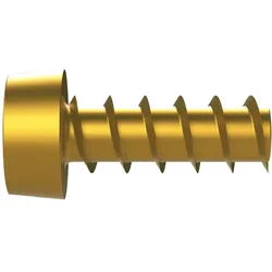 ABB VXXAWNJC Hiloschraube 5x13mm VMS Schraube selbstschneidend VE 50 4TBV853100C0100  - 50 Stück
