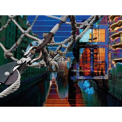 CALVENDO Puzzle Im Netz von Hamburg | 1000 Teile Lege-Größe 64x48cm Foto-Puzzle für glückliche Stunden