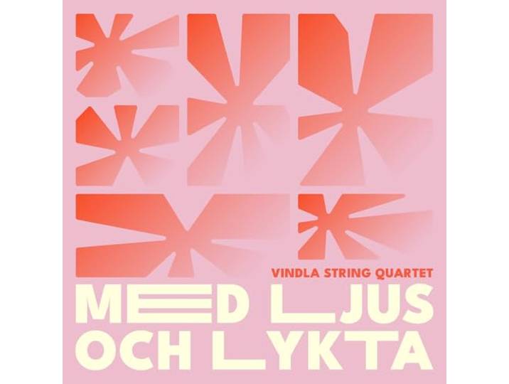 Med Ljus Och Lykta