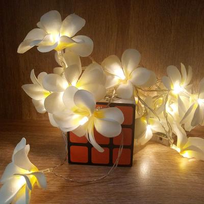 Snug & Styled Frangipani Flower String Lights Battery Operated Warm White LED Garland For Bedroom & Party Decor Frangipani Flower String Lights Battery Operated Warm White LED Garland For Bedroom & Party Decor