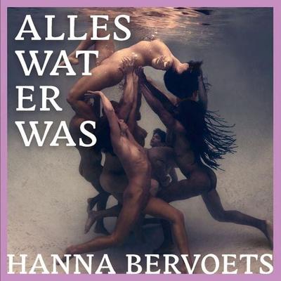 Alles wat er was - Hanna Bervoets, Audio, 9789463634410