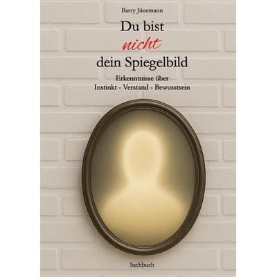 Du bist nicht dein Spiegelbild, Gebundene Ausgabe von Barry Jünemann, Tredition, 978-3-384-74955-0