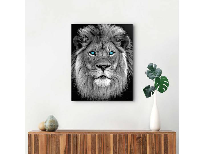 Wandbild REINDERS Löwe mit blaue Augen , schwarz (farbe bild(er): schwarz, weiß), B:40cm H:50cm T:2cm, Holzwerkstoff, Bilder, Wandbild